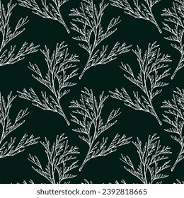 Vector seamless pattern with hand drawn cypress branches. Beautiful design elements, ink drawing. Perfect for prints and patterns for Christmas or New Year holidays season.