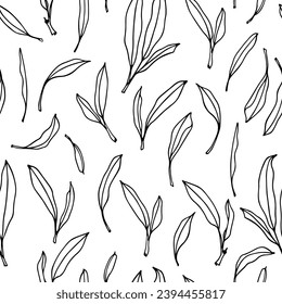 Vector seamless pattern with hand drawn sage leaves. Beautiful culinary design elements, ink drawing. Perfect for prints and patterns