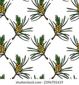 Vector seamless pattern with hand drawn pine twigs with spring cones. Beautiful design elements, ink drawing. Perfect for prints and patterns for Christmas or New Year holidays season.