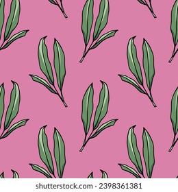 Vector seamless pattern with hand drawn sage leaves on bright pink background. Beautiful culinary design elements, ink drawing. Perfect for prints and patterns