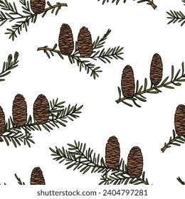 Vector seamless pattern with hand drawn cedar branches with huge cones. Beautiful design elements, ink drawing. Perfect for prints and patterns for Christmas or New Year holidays season