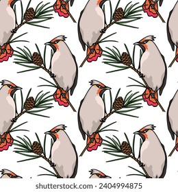 Vector seamless pattern with hand drawn cute Waxwing sitting on a pine branch. Ink drawing, graphic style. Beautiful animal design elements, perfect for prints and patterns