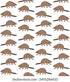 Vector seamless pattern of hand drawn sketch doodle colored beaver isolated on white background