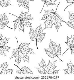 Vetor padrão sem emenda com mão desenhado folhas de bordo em vários tamanhos em um fundo branco. Ilustração de esboço desenhado à mão em doodle gravado vintage estilo de arte de linha. Outono, tecido, papel de parede