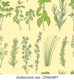 Vector seamless pattern with hand drawn culinary herbs - rosemary, basil, thyme, parsley, oregano, dill, tarragon and chives. Beautiful herbal design.