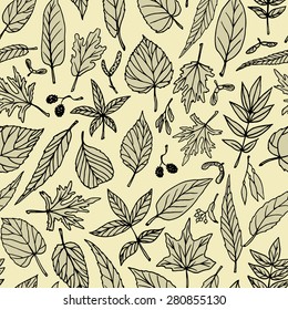 Vector seamless pattern with hand drawn leaves and fruit of forest trees. Beautiful design elements, perfect for prints and patterns.