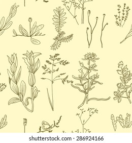 Vector seamless pattern with hand drawn meadow plants.