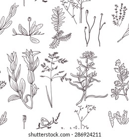 Vector seamless pattern with hand drawn meadow plants.