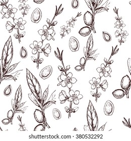 Vector seamless pattern with hand drawn almond fruit, flowers and leaves sketch. Vintage floral background isolated on white. Almond tree seamless background. engraved illustration.