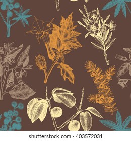 Vector seamless pattern with hand drawn poisonous plants. Vintage noxious plants sketch background. 