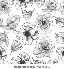 Vector seamless pattern. Hand drawn  poppy flower illustration.