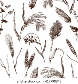 Vector seamless pattern with hand drawn cereal crops sketches. Vintage background with industrial plants illustration. Farm fresh and locally grown organic products illustration.