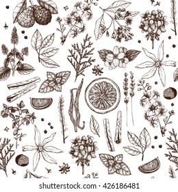 Vector seamless pattern with hand drawn perfumery and cosmetics materials and ingredient sketch isolated on white