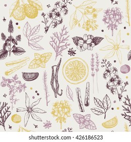 Vector seamless pattern with hand drawn perfumery and cosmetics ingredient sketch.  Vintage background with aromatic plants for high-quality  scented industry