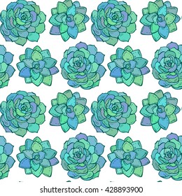 Vector seamless pattern with hand drawn color succulent plants on white background.