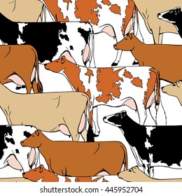 Vector seamless pattern with hand drawn dairy cattle breeds.  Beautiful ink drawing of dairy cows.