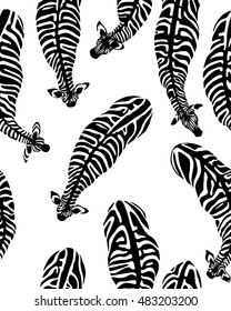 Vector seamless pattern with hand drawn graceful zebras seen from the top. Beautiful ink drawing. Contrast monochrome drawing