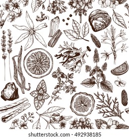 Vector seamless pattern with hand drawn perfumery and cosmetics ingredient sketch. Vintage background with aromatic plants for scented industry. Herbs and spice illustration