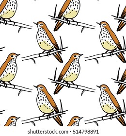 Vector seamless pattern with hand drawn motley birds sitting on the branches. Ink drawing, graphic style, perfect for prints and patterns.