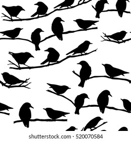 Vector seamless pattern with hand drawn birds sitting on the branches. Ink drawing, graphic style, perfect for prints and patterns.