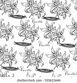 Vector seamless pattern with hand drawn vanilla flowers and pods.