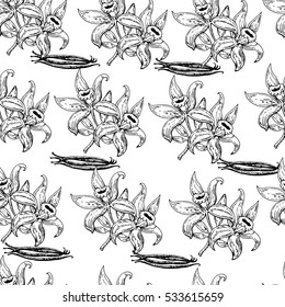 Vector seamless pattern with hand drawn vanilla flowers and pods.