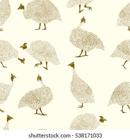 Vector seamless pattern with hand drawn guinea fowl. Beautiful design elements, perfect for prints and patterns.