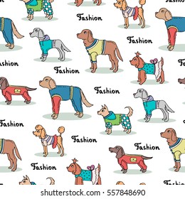 Vector seamless pattern with hand drawn colored dogs. Pattern on the theme of fashion, clothes for dogs. Background for use in design, packing, web site, fabric