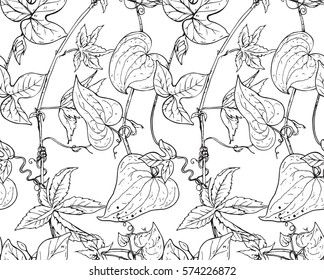 Vector seamless pattern with hand drawn bindweed flowers. Black and white endless background