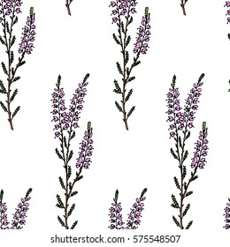 Vector seamless pattern with hand drawn heather branches. Beautiful floral design elements,  perfect for prints and pattern.
