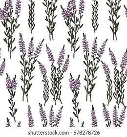 Vector seamless pattern with hand drawn heather branches. Beautiful floral design elements,  perfect for prints and pattern.