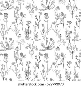 vector seamless pattern with hand drawn medical herbs, line drawing plants, vintage floral ornament