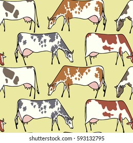 Vector seamless pattern with hand drawn cows eating fresh grass on a meadow. Beautiful design elements, cute animal characters.