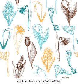 Vector seamless pattern with hand drawn spring flowers illustrations. Vintage background. Botanical sketch.