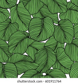 Vector seamless pattern with hand drawn tropical leaves. Graceful plants. Beautiful ink drawing.