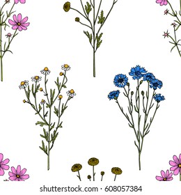 Vector seamless pattern with hand drawn wildflowers twigs. Beautiful ink drawing, vintage style.