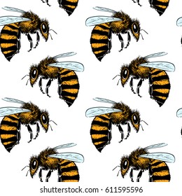 Vector seamless pattern with hand drawn honey bees made in retro style. Beautiful ink drawing