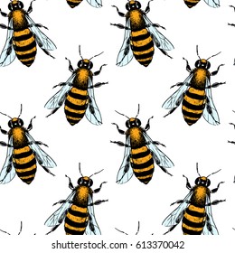 Vector seamless pattern with hand drawn honey bees made in retro style. Beautiful ink drawing