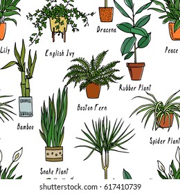 Vector seamless pattern with hand drawn houseplants. Beautiful floral design elements, perfect for prints and patterns