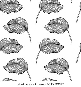Vector seamless pattern with hand drawn tropical leaves. Graceful plants. Beautiful ink drawing.