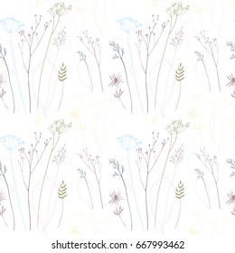 Vector seamless pattern with hand drawn floral elements -  dill or fennel flowers and grasses. 