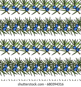 Vector seamless pattern with hand drawn juniper twigs. Beautiful floral design elements, ink drawing