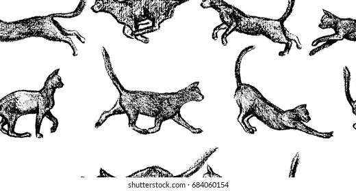 Vector seamless pattern with hand drawn playful cats. Beautiful design elements, charcoal drawing