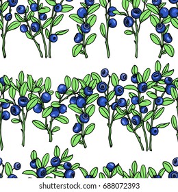 Vector seamless pattern with hand drawn blueberry twigs. Beautiful floral design elements, ink drawing