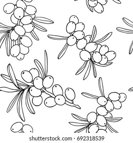 Vector seamless pattern with hand drawn sea buckthorn twig. Beautiful food design elements, ink drawing
