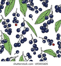 Vector seamless pattern with hand drawn bird cherry twigs. Beautiful floral design elements, ink drawing