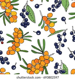 Vector seamless pattern with hand drawn sea buckthorn and bird cherry twigs. Beautiful food design elements, ink drawing