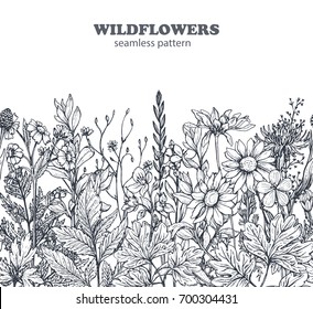 Vector seamless pattern with hand drawn herbs and flowers on white background.