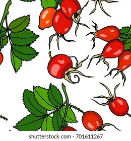 Vector seamless pattern with hand drawn dog rose twigs. Beautiful dog rose products design elements, ink drawing.