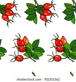 Vector seamless pattern with hand drawn dog rose twigs. Beautiful dog rose products design elements, ink drawing.